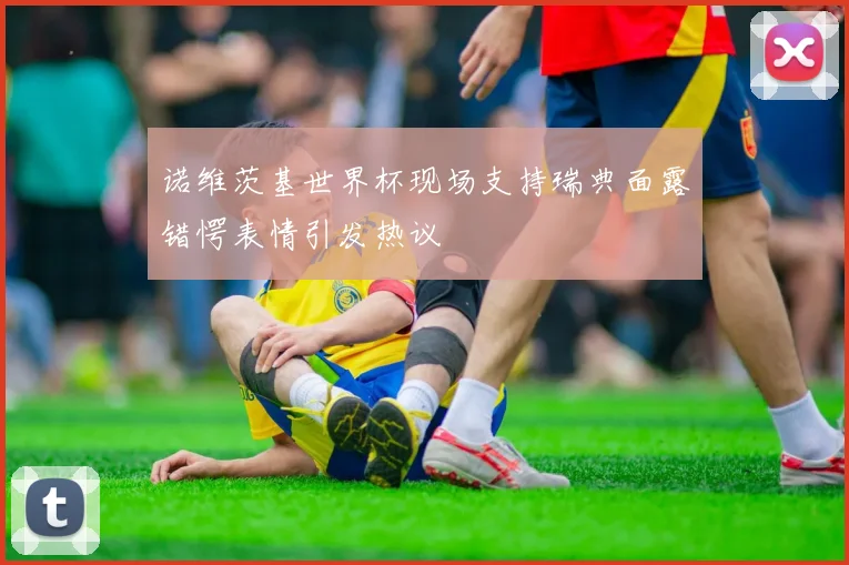 诺维茨基世界杯现场支持瑞典面露错愕表情引发热议