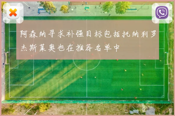阿森纳寻求补强目标包括托纳利罗杰斯莱奥也在推荐名单中
